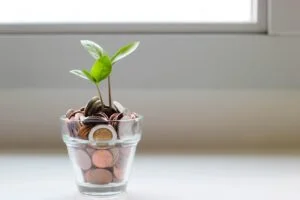 cost saving outsourcing agency